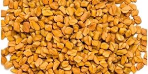 Fenugreek Seeds
