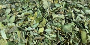 Natural Dry Moringa Leaves