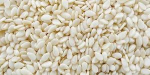 Natural White Sesame Seeds