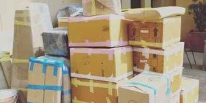 Packers Mover Service