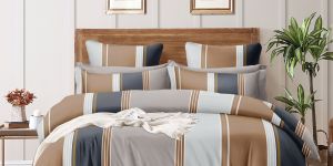 Stripe Double Bed Cotton Bedsheet Set