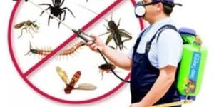 Mosquito Control Services