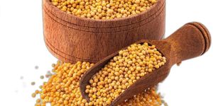 Yellow Mustard Seeds