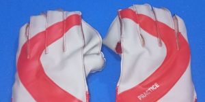 Cricket Wicket Keeping Gloves