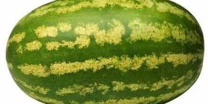 a Grade Fresh Watermelon