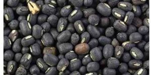 Black Urad Dal