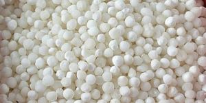 White Organic Sabudana Seeds