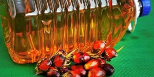 Refined Palm Oil