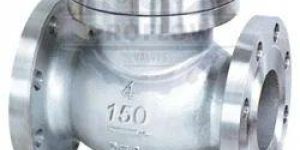 Stainless Steel Non Return Valve