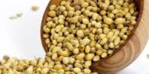 Coriander Seeds