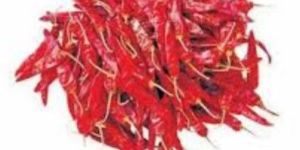 Dried Red Chili