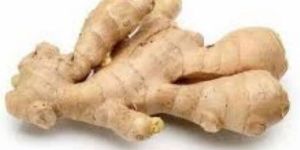 Fresh Ginger