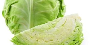 Fresh Green Cabbage