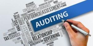 Audits Assurance Services