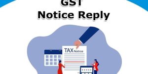 GST Notice Reply Work Services