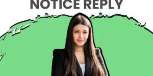 Income Tax Notice Reply Services