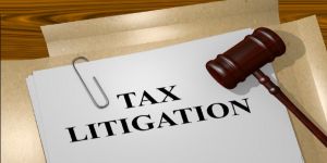 Tax Litigation Consultant