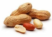 Organic Raw Groundnut