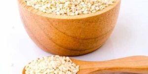 Organic White Sesame Seed