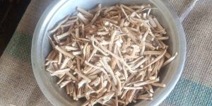 White Shatavari Root