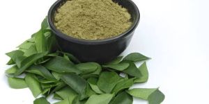 Dehydrated Curry Leaf Powder