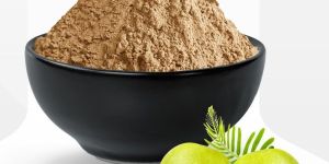 Dehydrated Gooseberry Powder