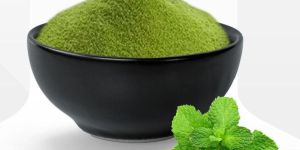 Dehydrated Mint Leaf Powder