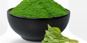 Dehydrated Spinach Powder