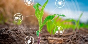 Agroforestry & Climate Smart Farming Service