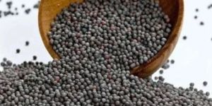 Black Mustard Seeds