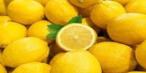 Natural Fresh Yellow Lemon