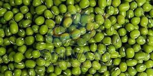 Green Moong Dal