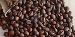 Premium Coffee Beans