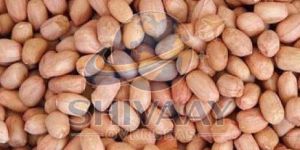 Raw Groundnut Peanut