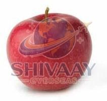 Red Delicious Apple