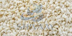 White Sesame Seeds