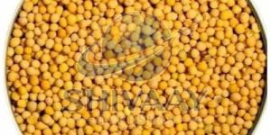 Yellow Mustard Seeds