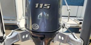 Yamaha f115 4stroke Outboard Engine