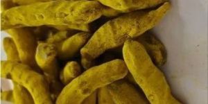 Organic Dry Turmeric Finger
