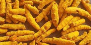 Salem Dried Turmeric Finger