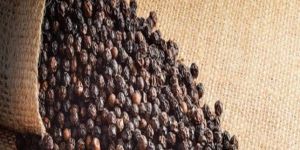 Black Pepper Seed