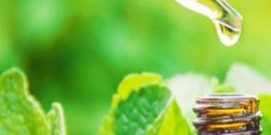 Peppermint Essential Oil