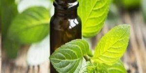 Spearmint Essential Oil