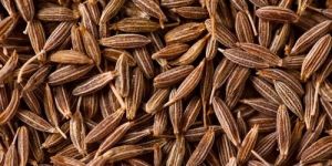 Natural Brown Cumin Seed Jeera