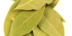Natural Dried Bay Leaf