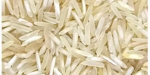 Premium Long Grain 1509 Basmati Rice