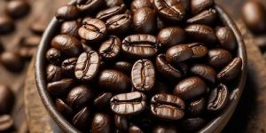 Strong Robusta Coffee Beans
