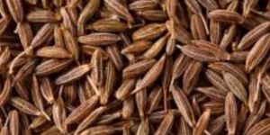 Brown Cumin Seeds