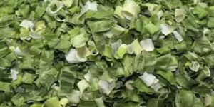 Dehydrated Spring Onion Flakes