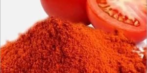Dehydrated Tomato Powder